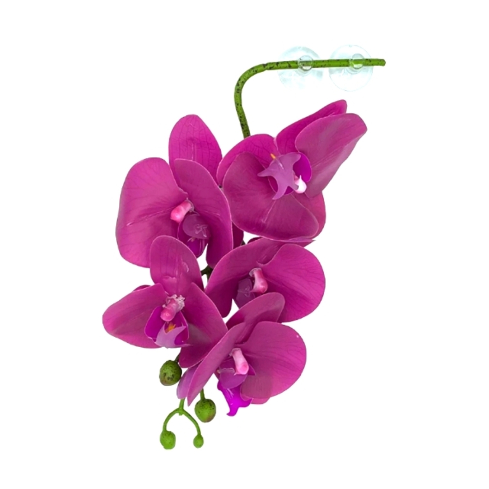 Pangea hanging orchid reptile decor nwt